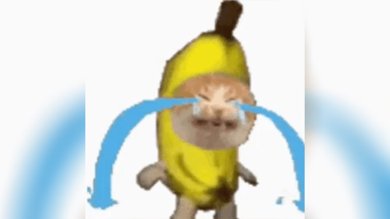 Sad Banana Cat