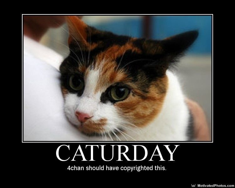 Caturday