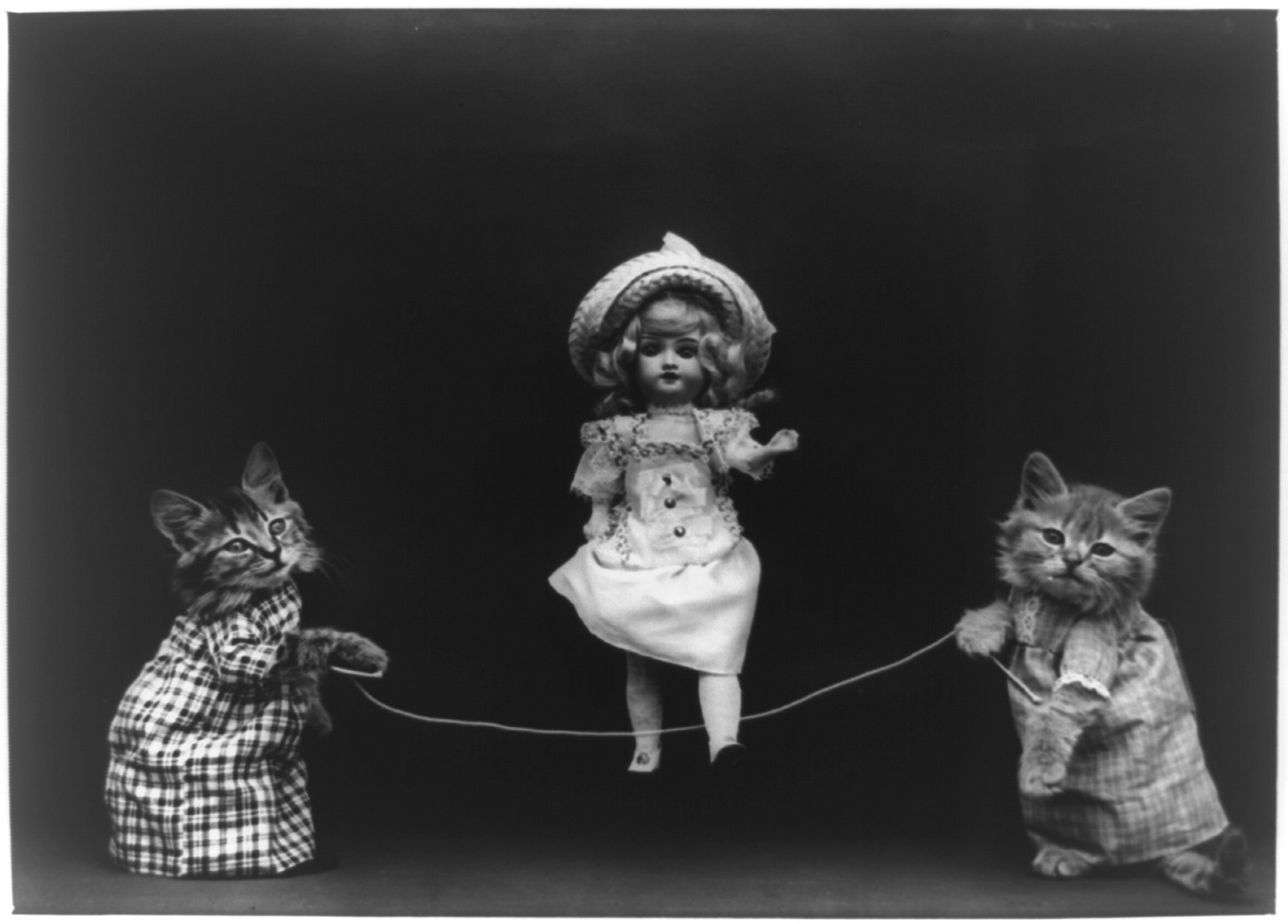 Harry Whittier Frees kitten