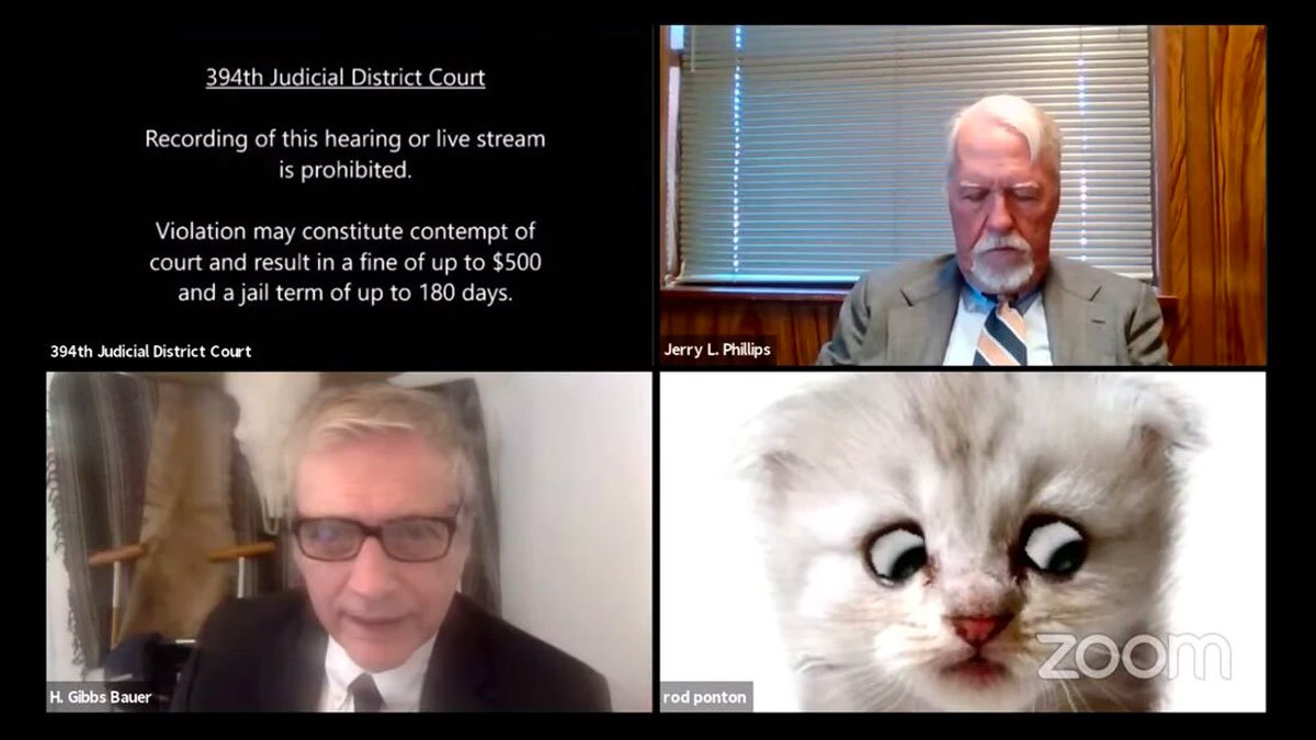 Zoom Cat Lawyer